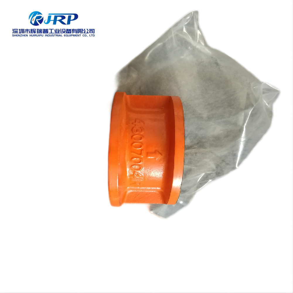 43007004 Check valve